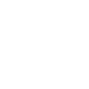 2025 Year Line Element