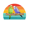 Cadeau de perruche