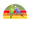 Budgie Gift