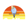 Budgie Gift