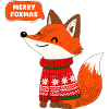 Fuchs und winter