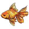Goldfish