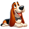 Basset 9