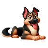 Beauceron 5