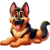 Beauceron 4