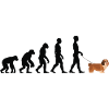 Havanese