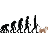 Lhasa Apso