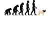 Pug