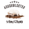 Trained dirt dog dog