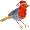 Christmas Bird Robin Design