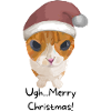 Sassy Cat - Merry Christmas!