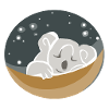 sleeping koala