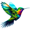 Colibri