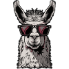 Funny Llama Alpaca
