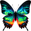 Papillon