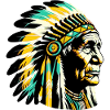 American Indian American