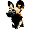Painted hunting dog