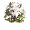 Wolves Wolf