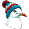 Gull