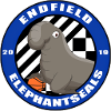 Endfield Elephant Seals