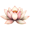 Lotusblüte
