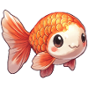 Poisson rouge Ranchu