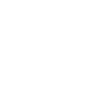 Hornussen Evolution
