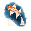 Koi