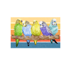 Budgie Gift