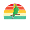 Budgie Gift