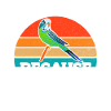 Budgie Gift
