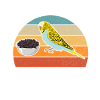 Budgie Gift