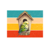 Budgie Gift