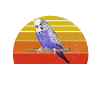 Budgie Gift