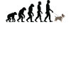 Staffordshire Bull Terrier