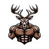 Deer Muscles Bodybuilding