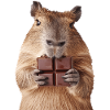 Capybara