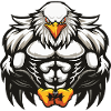 Musculation Eagle Muscles
