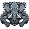 Musculation des muscles de l’éléphant