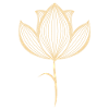 Lotusblüte