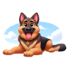 German Shepherd 12