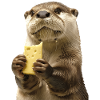 Otter