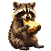 Raccoon