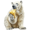 Polar bear