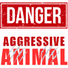 Aggressive Animal
