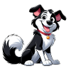 Border Collie 5