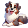 Australian Shepherd
