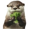 Otter