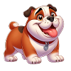 English Bulldog 2