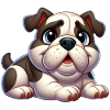 bouledogue anglais 3